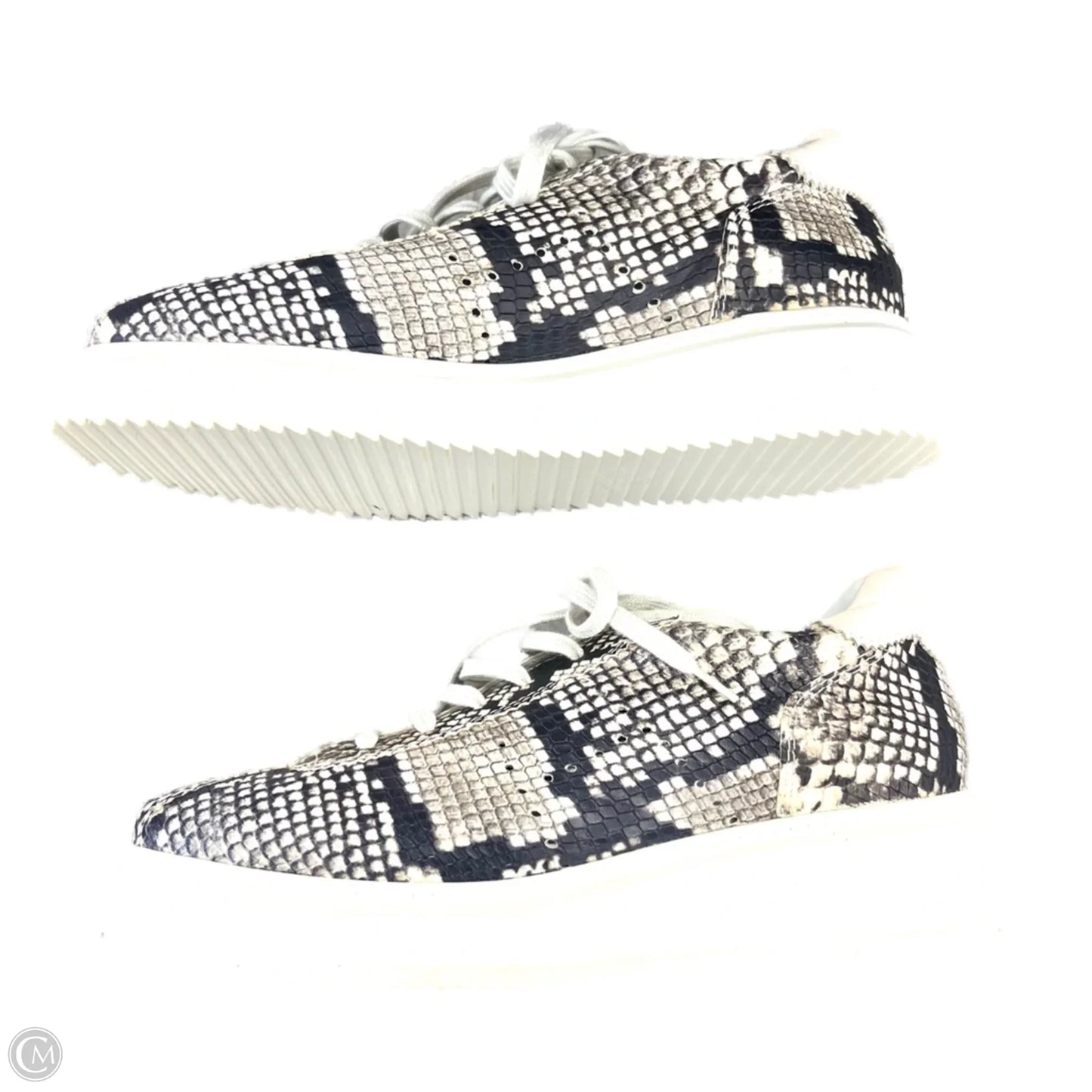 Shoes Sneakers By Homers Artisan In Snakeskin Print, Size: 7.5