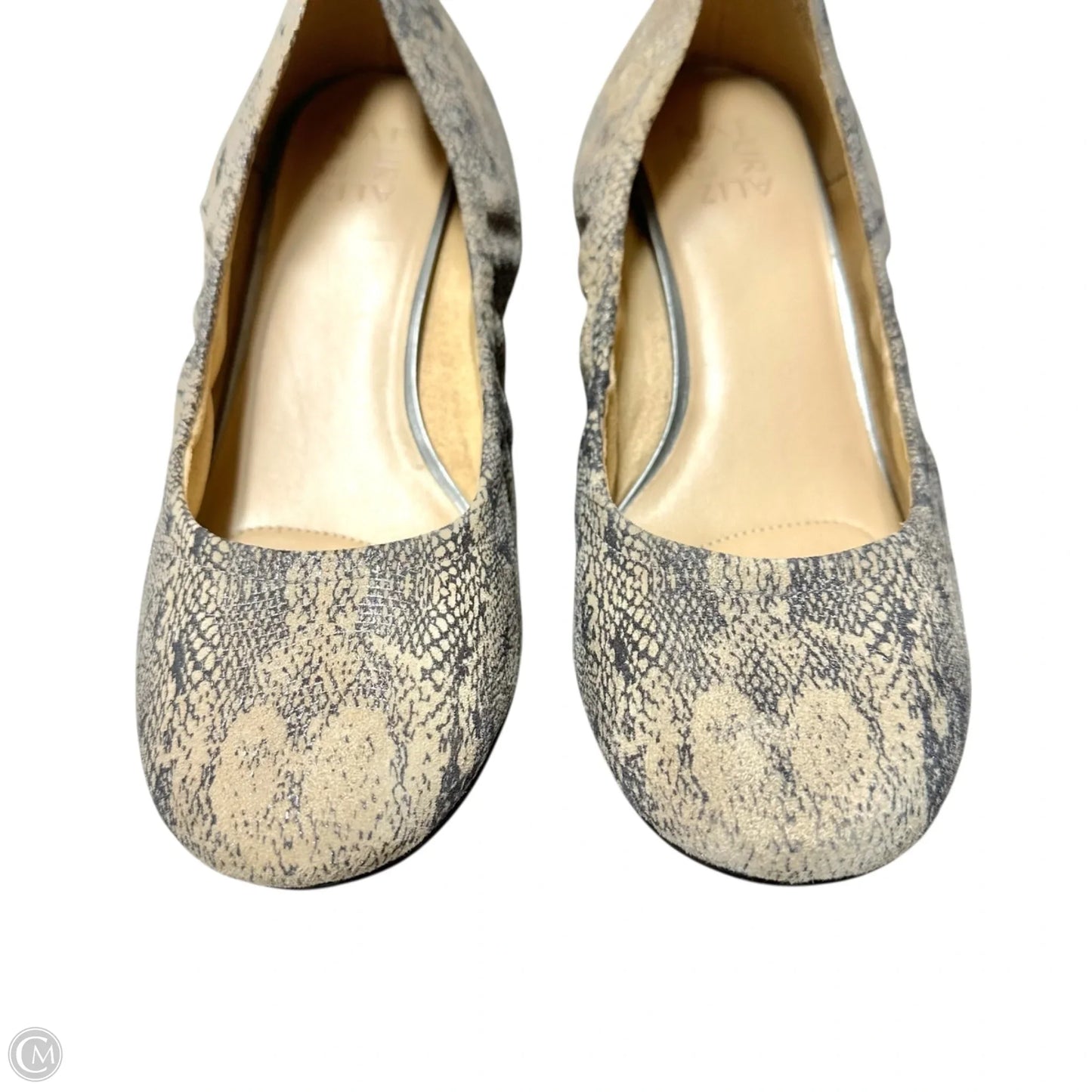 Shoes Heels Block By Naturalizer In Snakeskin Print, Size: 11