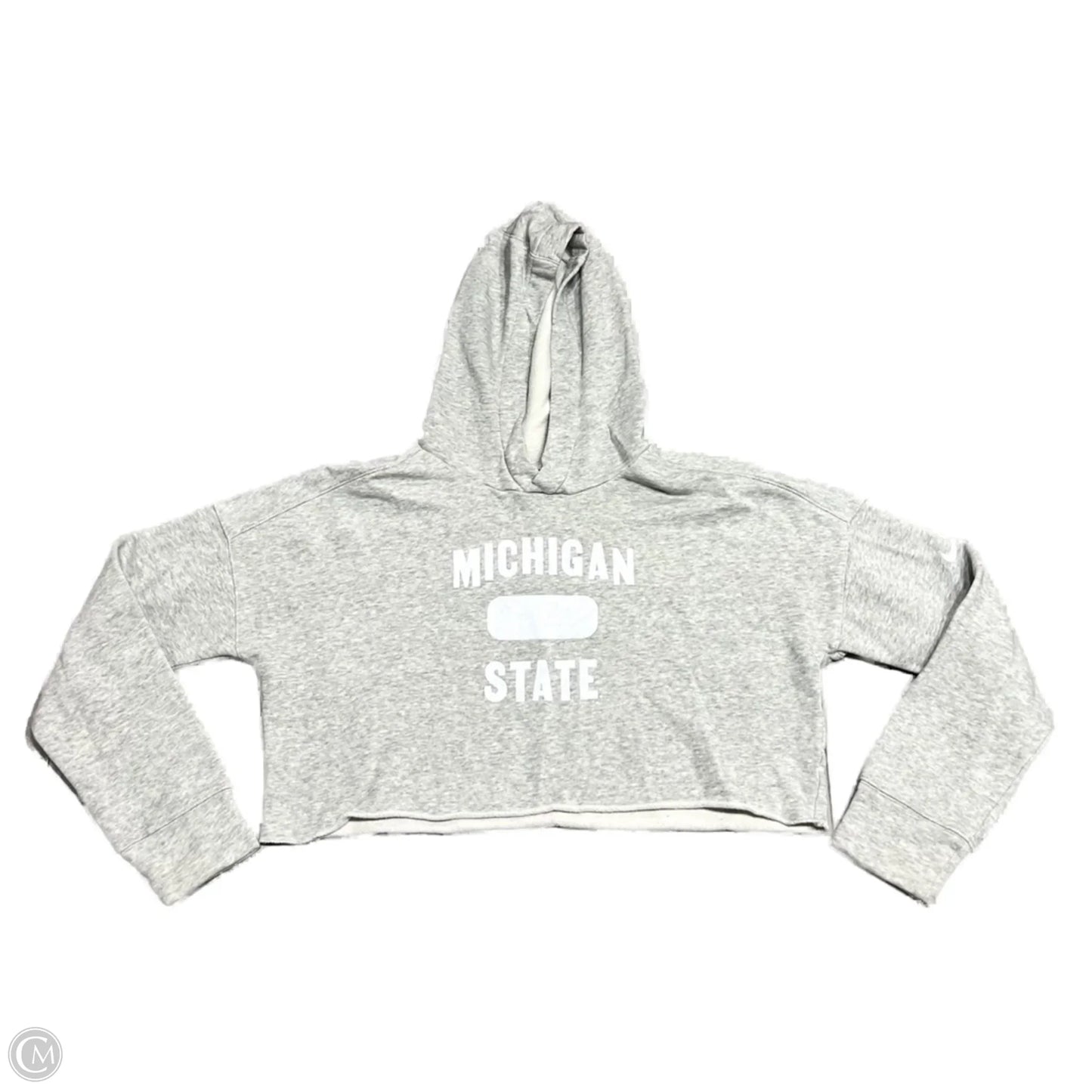 Sweatshirt Hoodie By Nike In Grey, Size: M