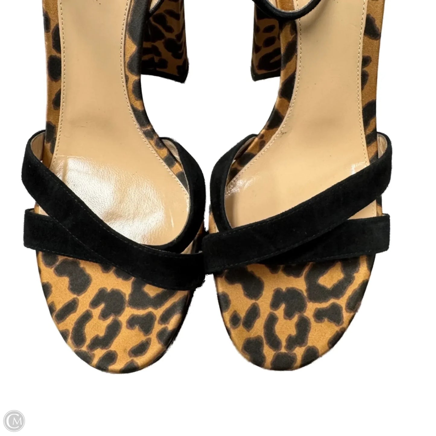 Sandals Heels Block By Gianvito Rossi In Leopard Print, Size: 7.5