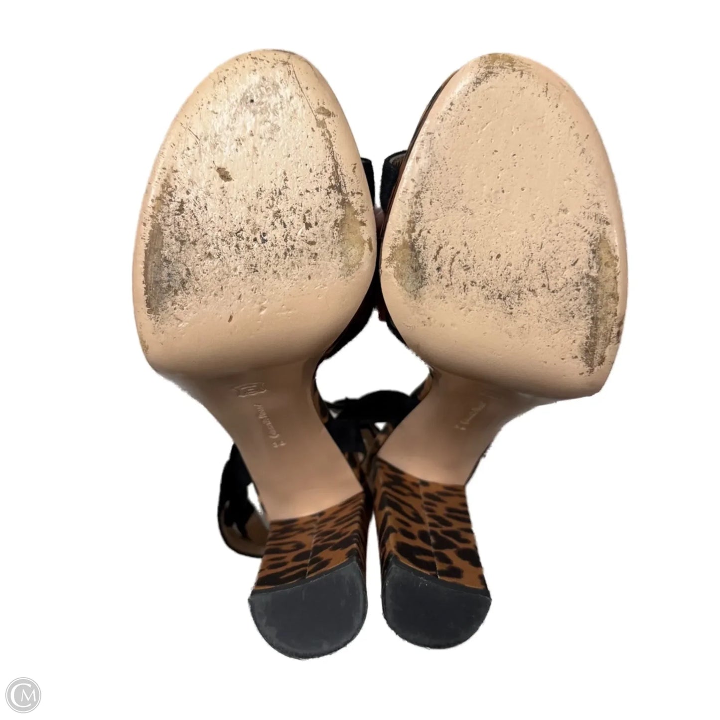 Sandals Heels Block By Gianvito Rossi In Leopard Print, Size: 7.5