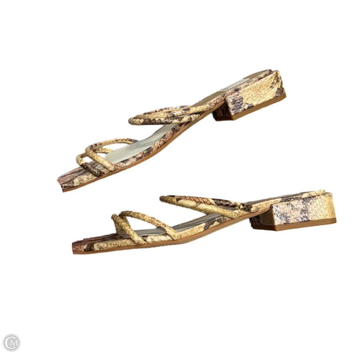 Sandals Heels Block By Dolce Vita In Snakeskin Print, Size: 9