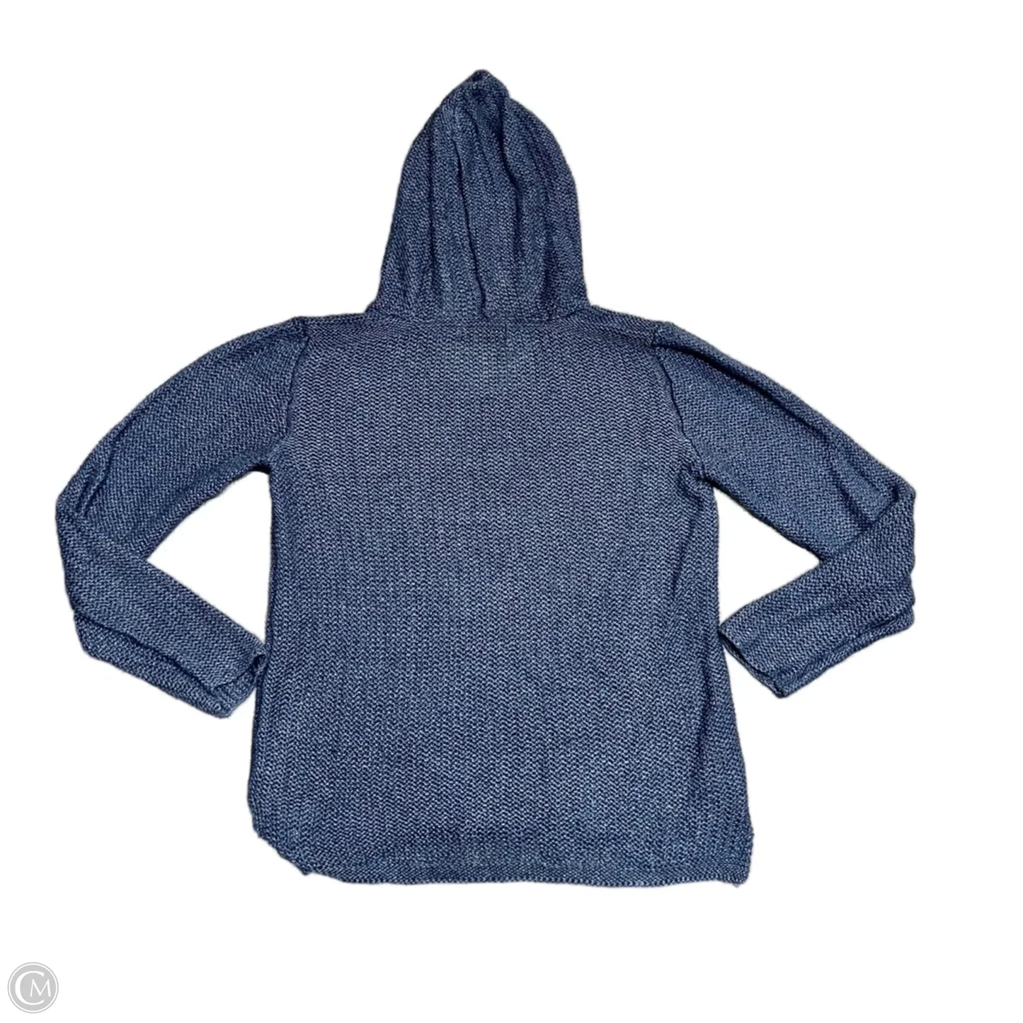 Sweatshirt Hoodie By Polo Ralph Lauren In Blue, Size: L