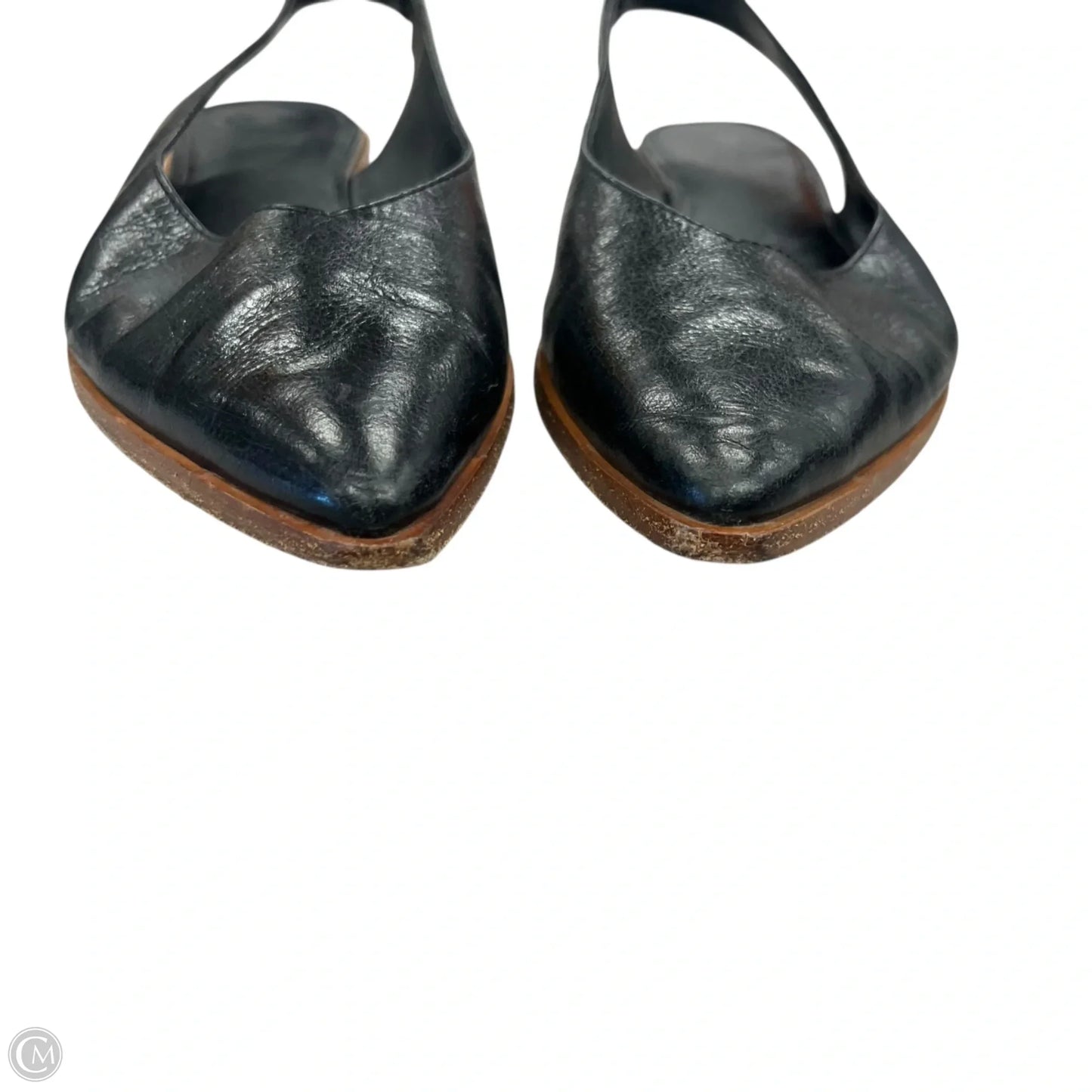 Shoes Designer By Frye In Black, Size: 11