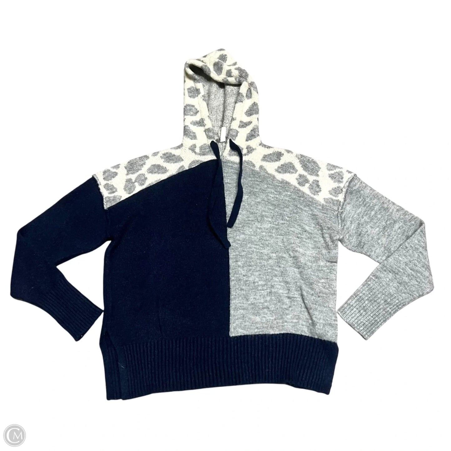 Sweatshirt Hoodie By Elan In Blue & Grey, Size: L