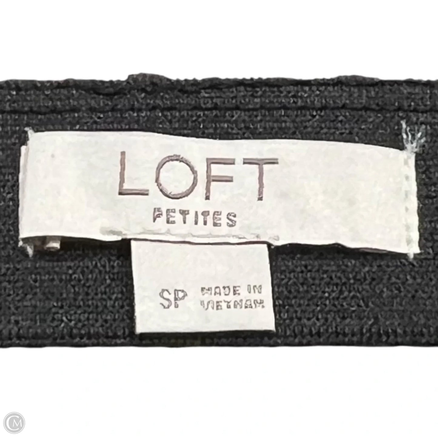 Skirt Maxi By Loft In Leopard Print, Size: 4