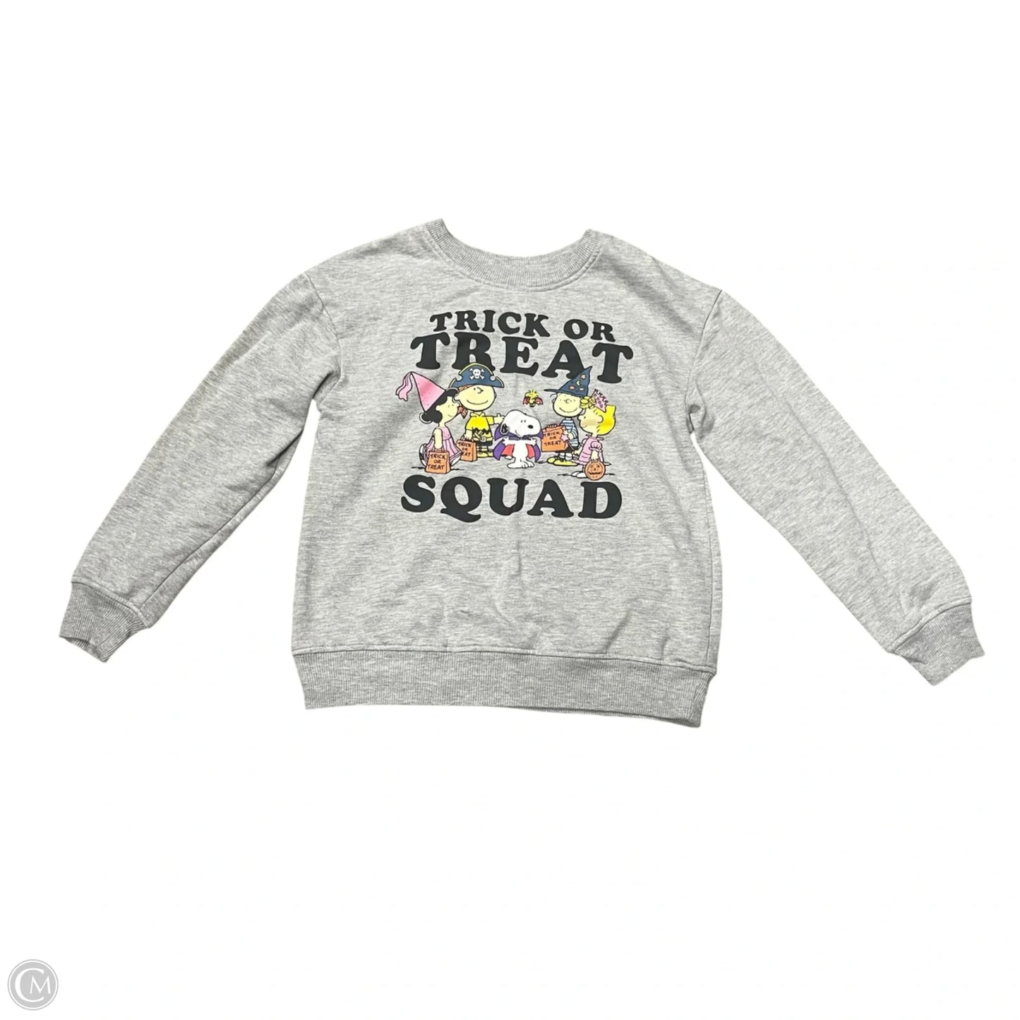 Sweatshirt Crewneck By Peanuts In Grey, Size: S