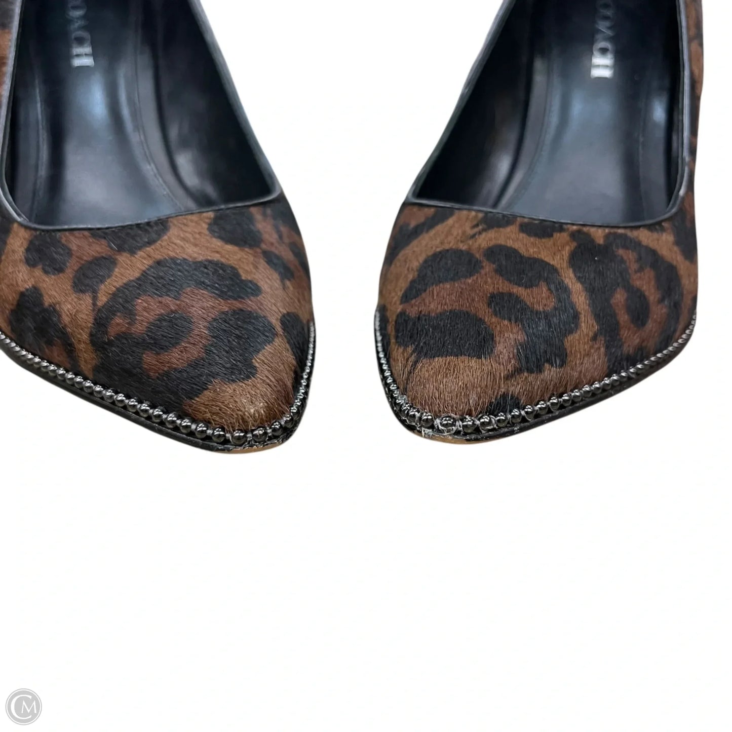 Shoes Designer By Coach In Leopard Print, Size: 10