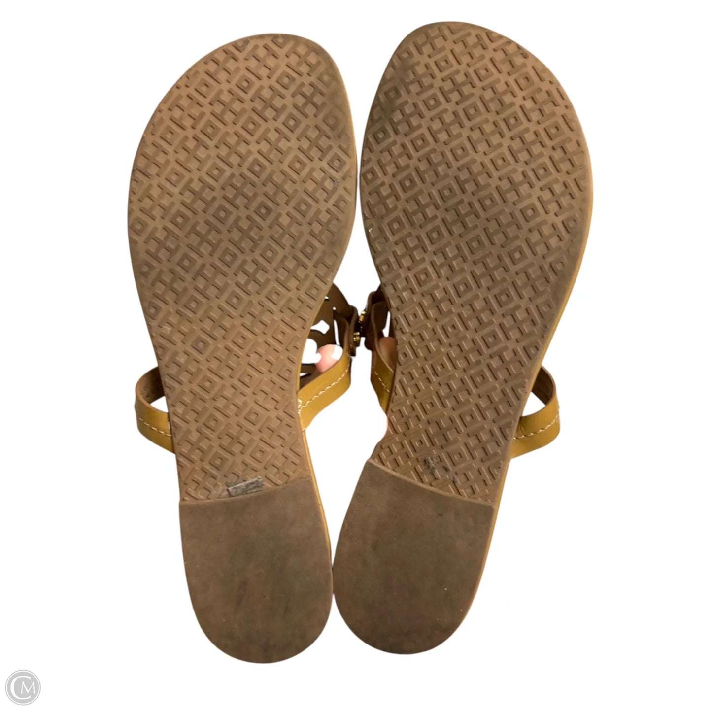 Sandals Designer By Tory Burch In Tan, Size: 9