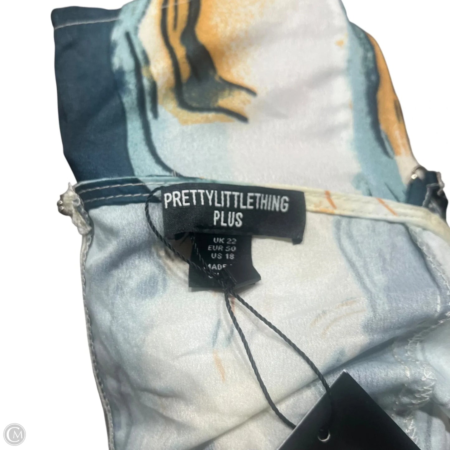 Top Sleeveless By Pretty Little Thing In Blue & Cream, Size: 1x