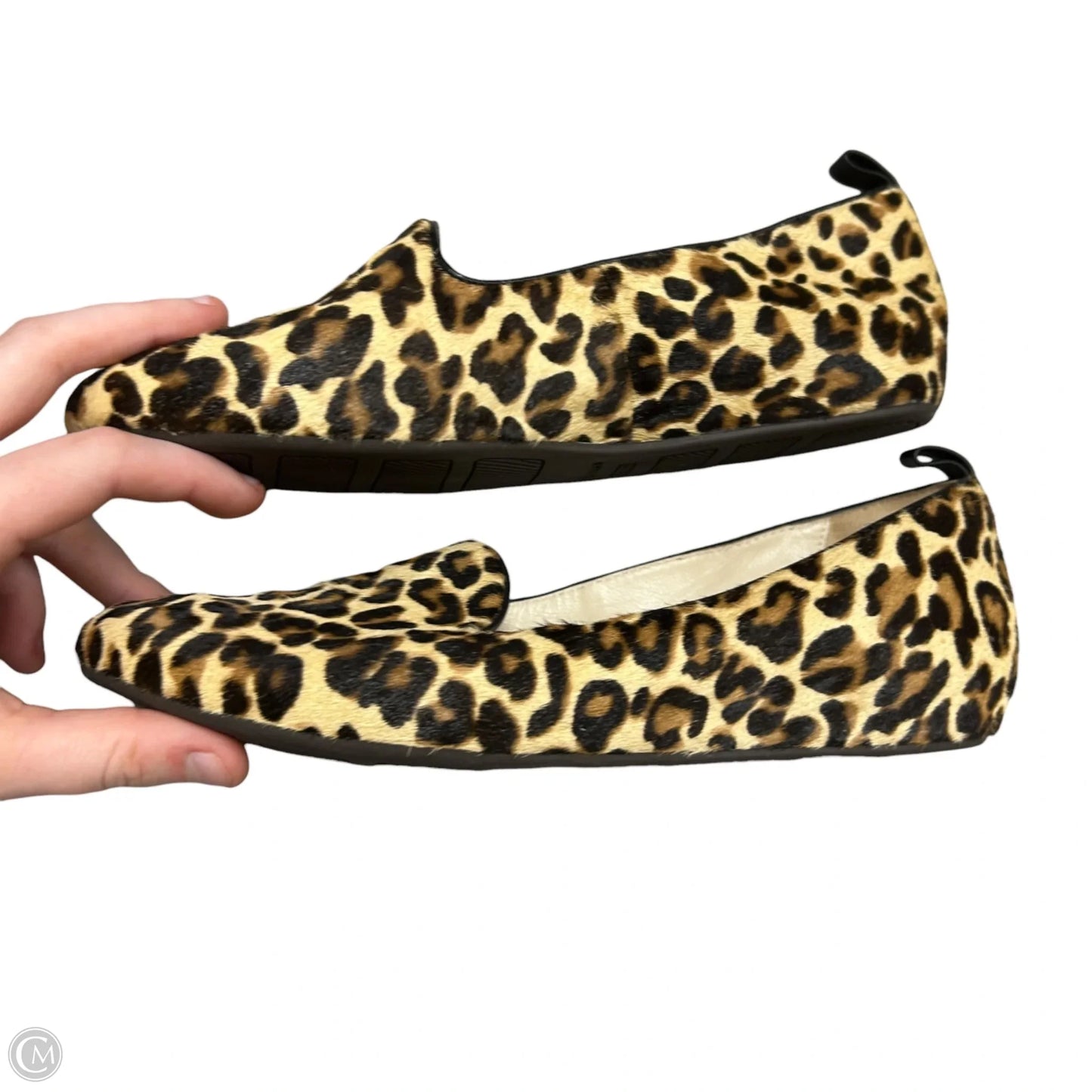Shoes Flats By Cole-haan In Leopard Print, Size: 6