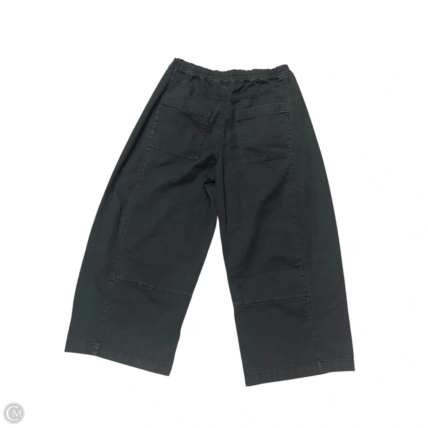Pants Cargo & Utility By Pilcro In Grey, Size: 4