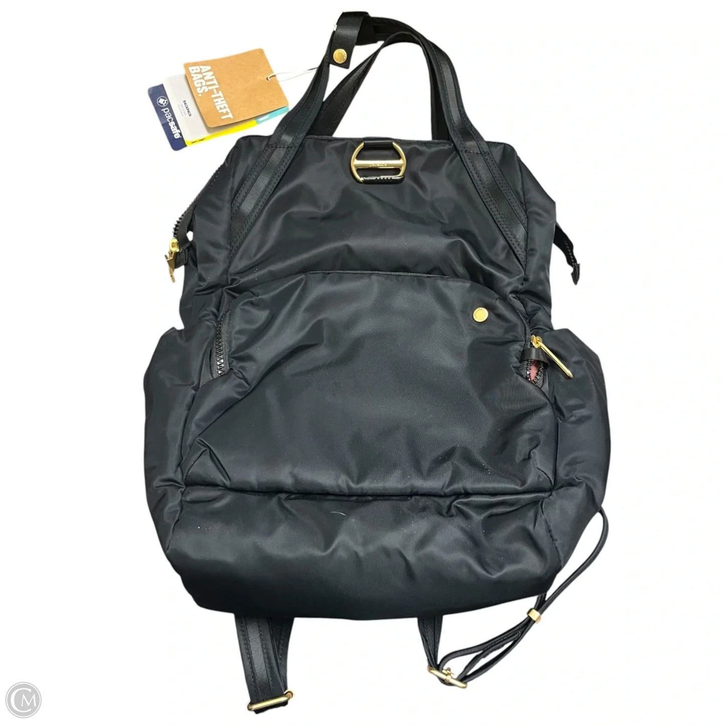Backpack By Pac Safe, Size: Large