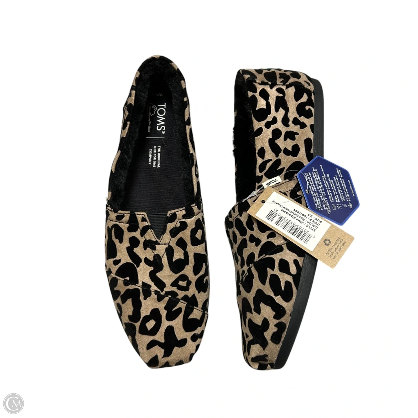 Shoes Flats By Toms In Leopard Print, Size: 9.5