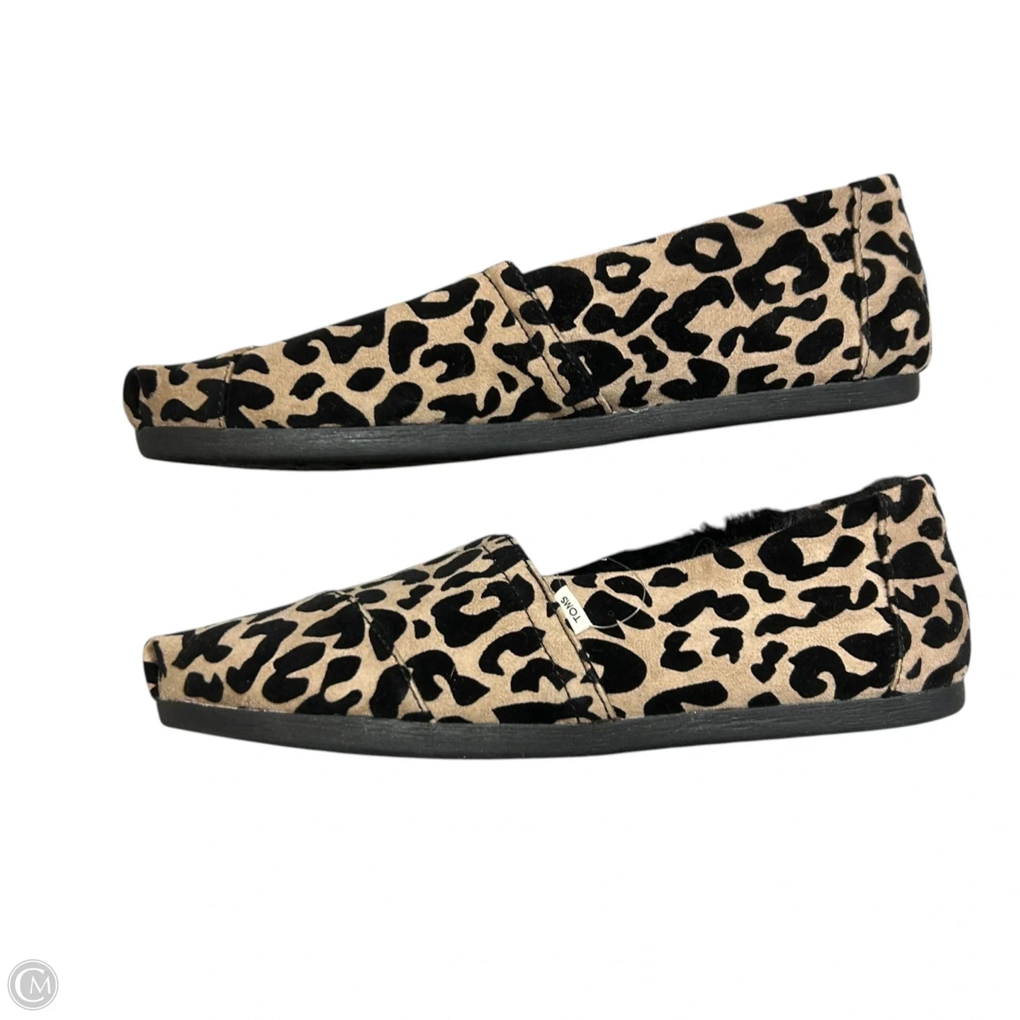 Shoes Flats By Toms In Leopard Print, Size: 9.5
