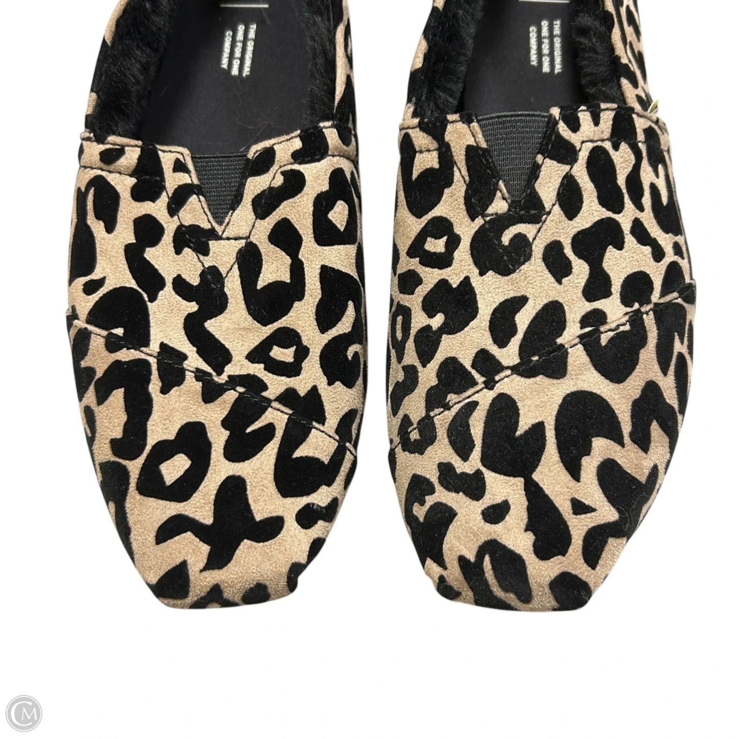 Shoes Flats By Toms In Leopard Print, Size: 9.5