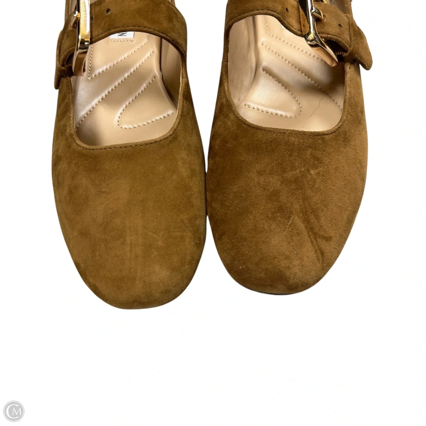 Shoes Flats By Steve Madden In Brown, Size: 9.5