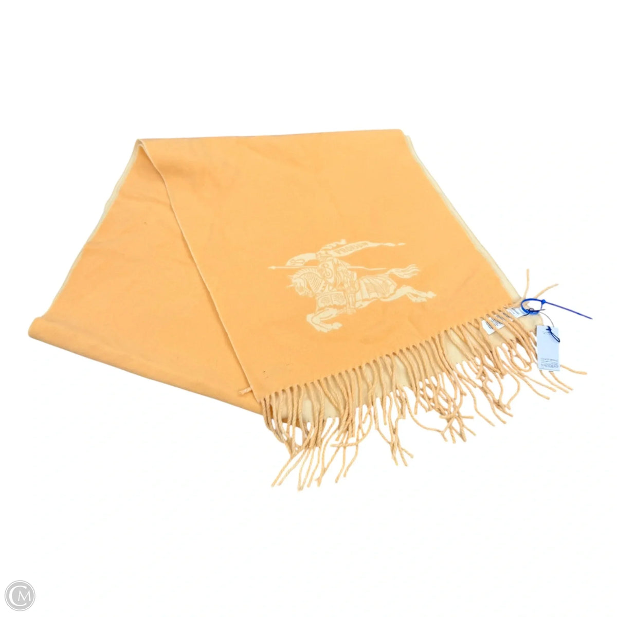 Scarf Luxury Designer By Burberry