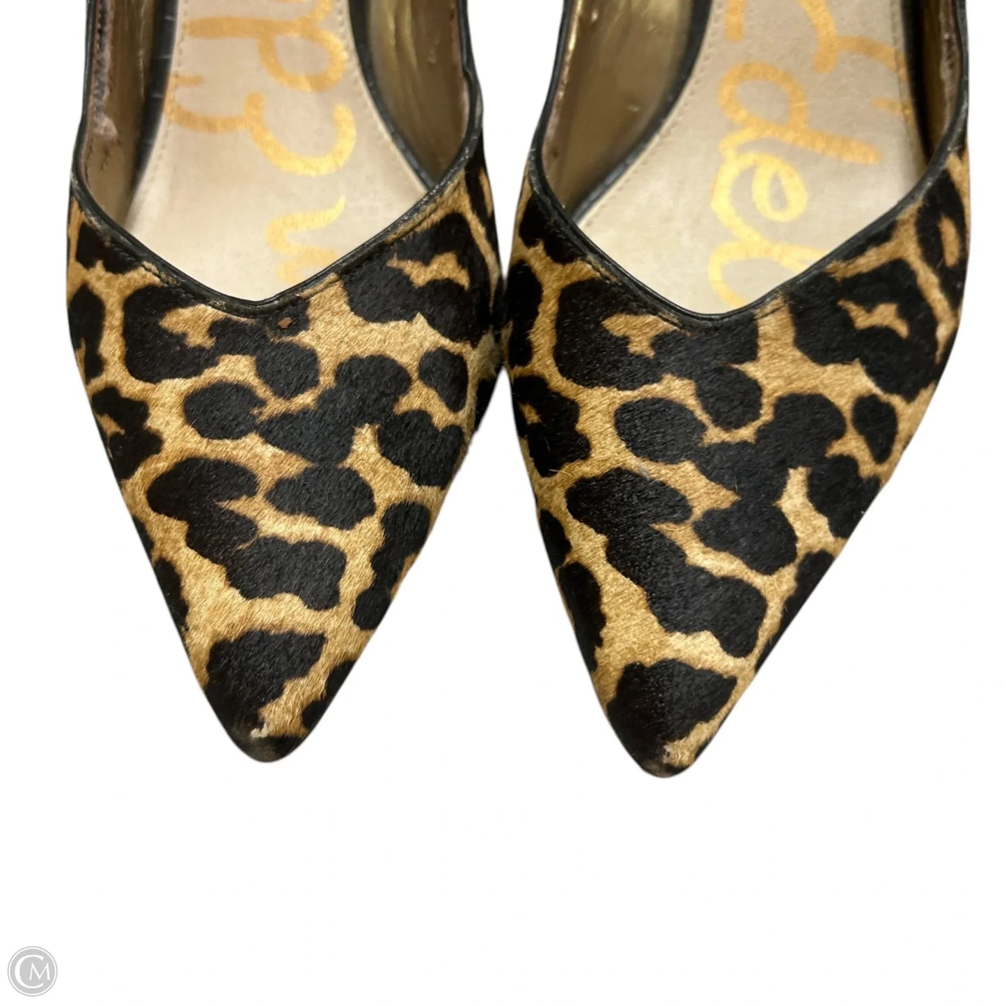 Shoes Heels Stiletto By Sam Edelman In Animal Print, Size: 9.5