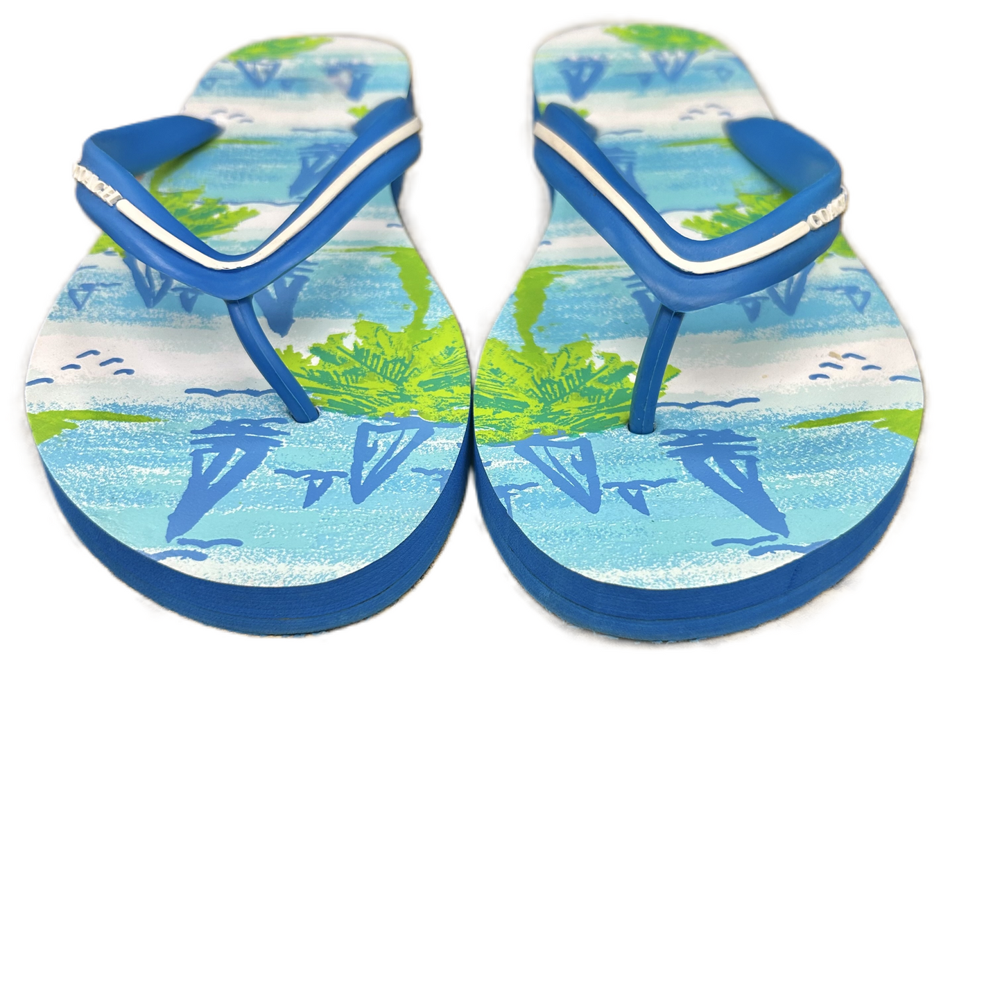 Blue & Green Sandals Designer By Coach, Size: 9