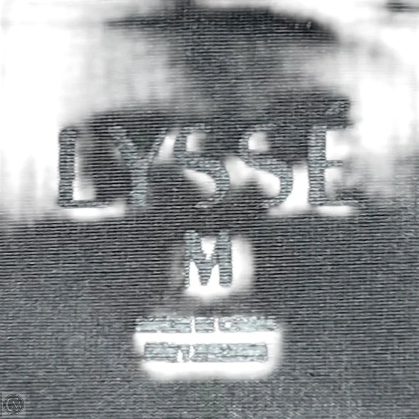 Pants Leggings By Lysse In Grey, Size: M