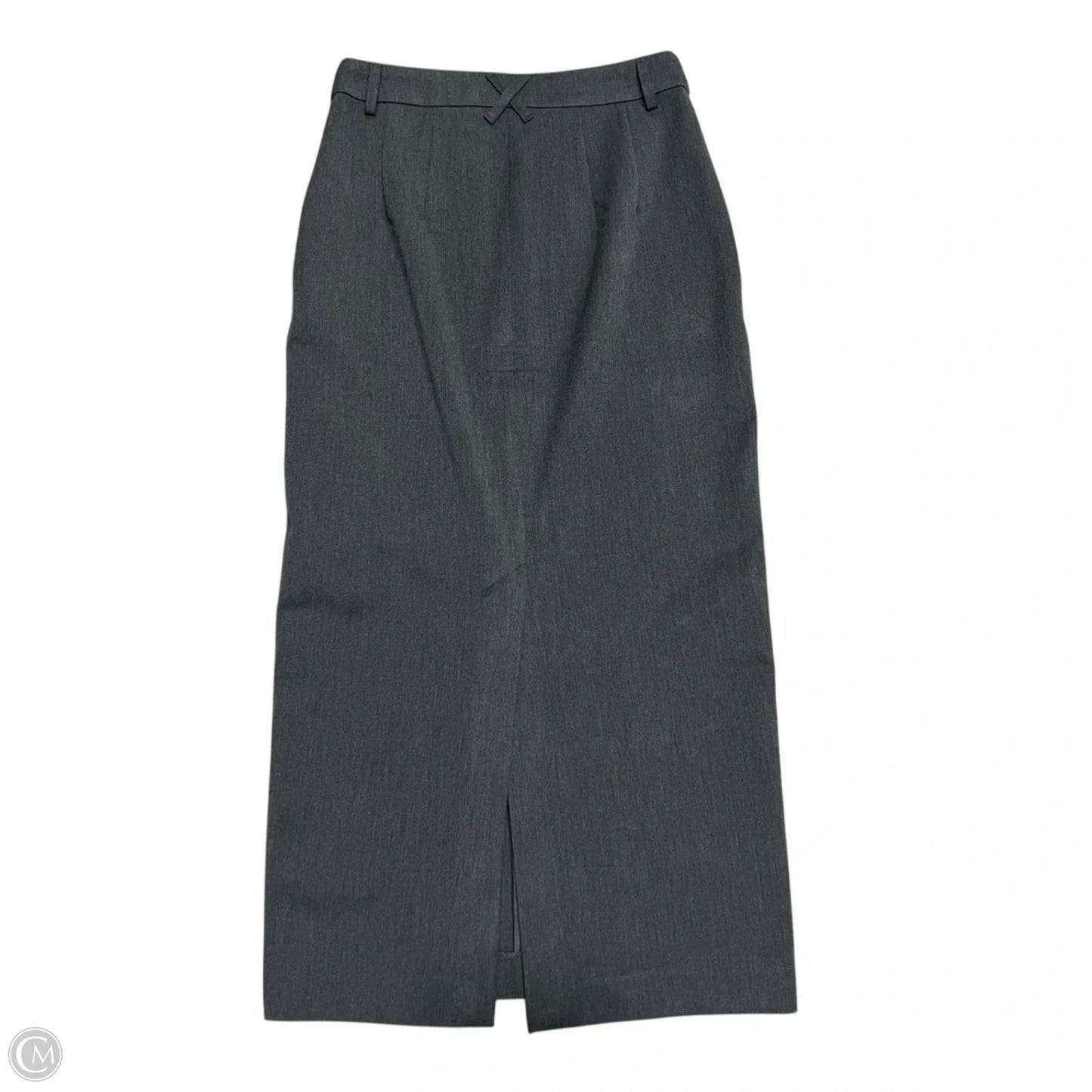 Skirt Maxi By Express In Grey, Size: 2