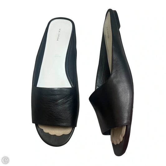 Shoes Flats By Via Spiga In Blue, Size: 12