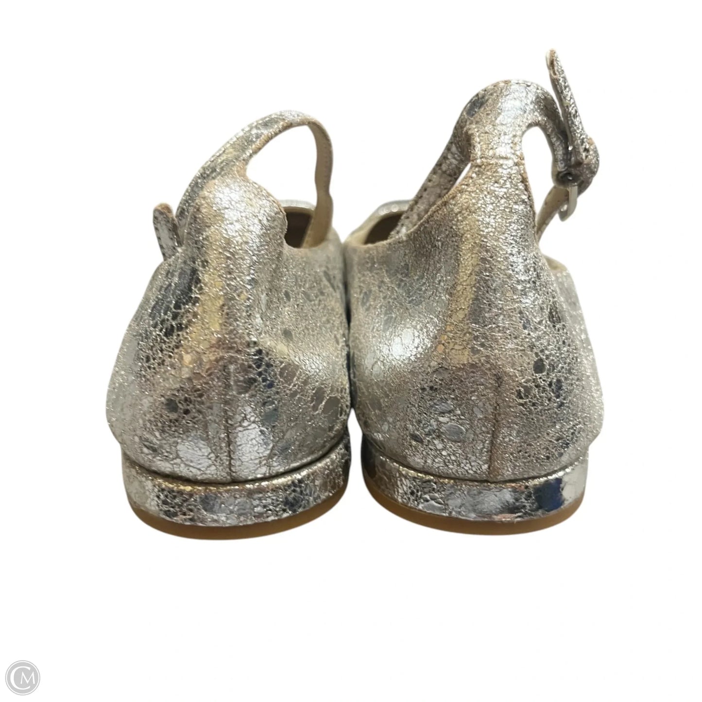Shoes Flats By Dolce Vita In Silver, Size: 9