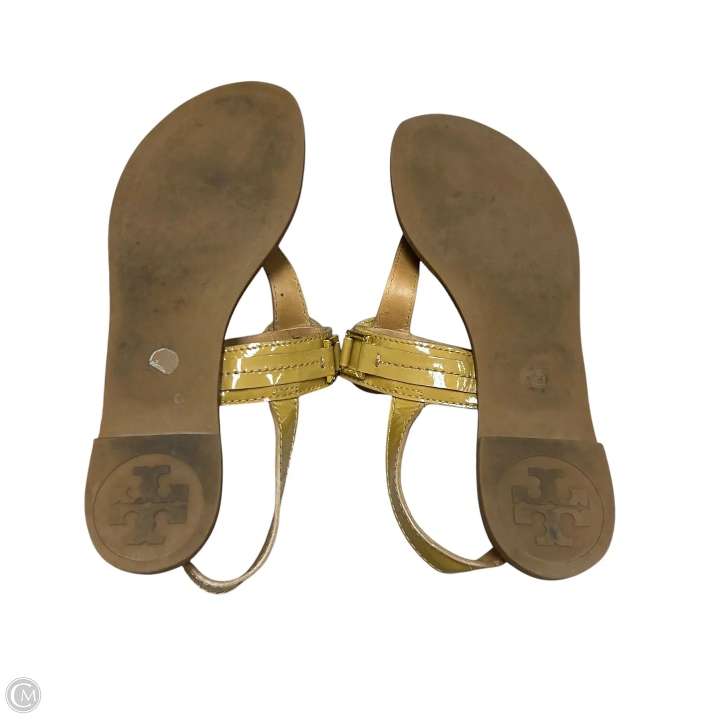 Shoes Designer By Tory Burch In Tan, Size: 6