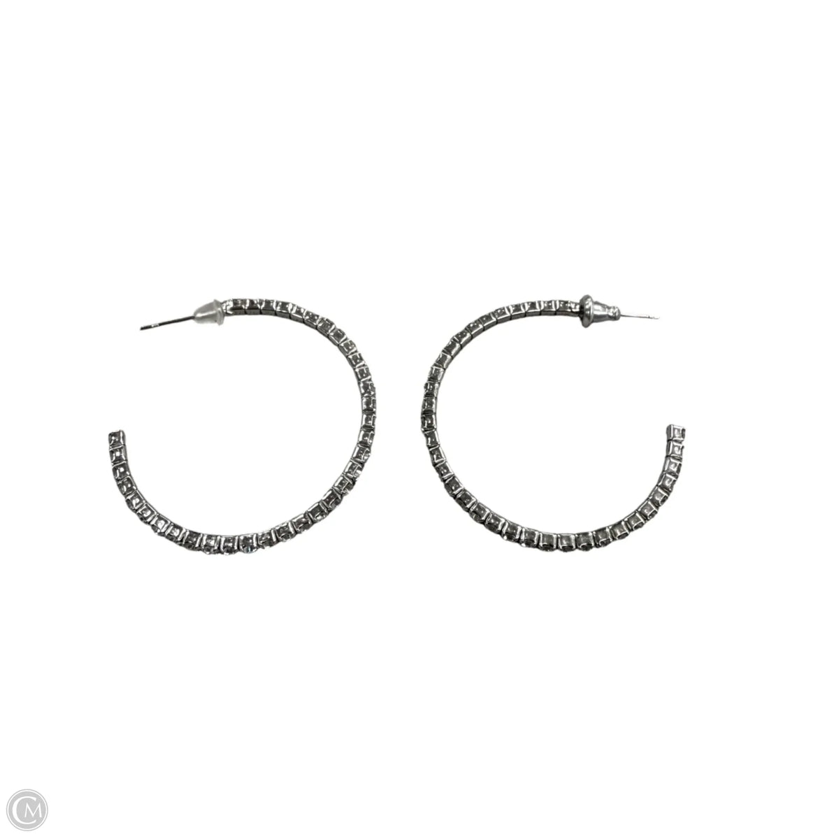 Earrings Hoop