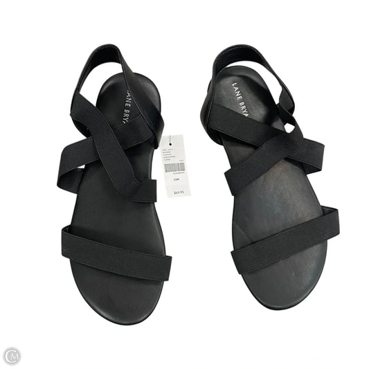 Sandals Flats By Lane Bryant In Black, Size: 11