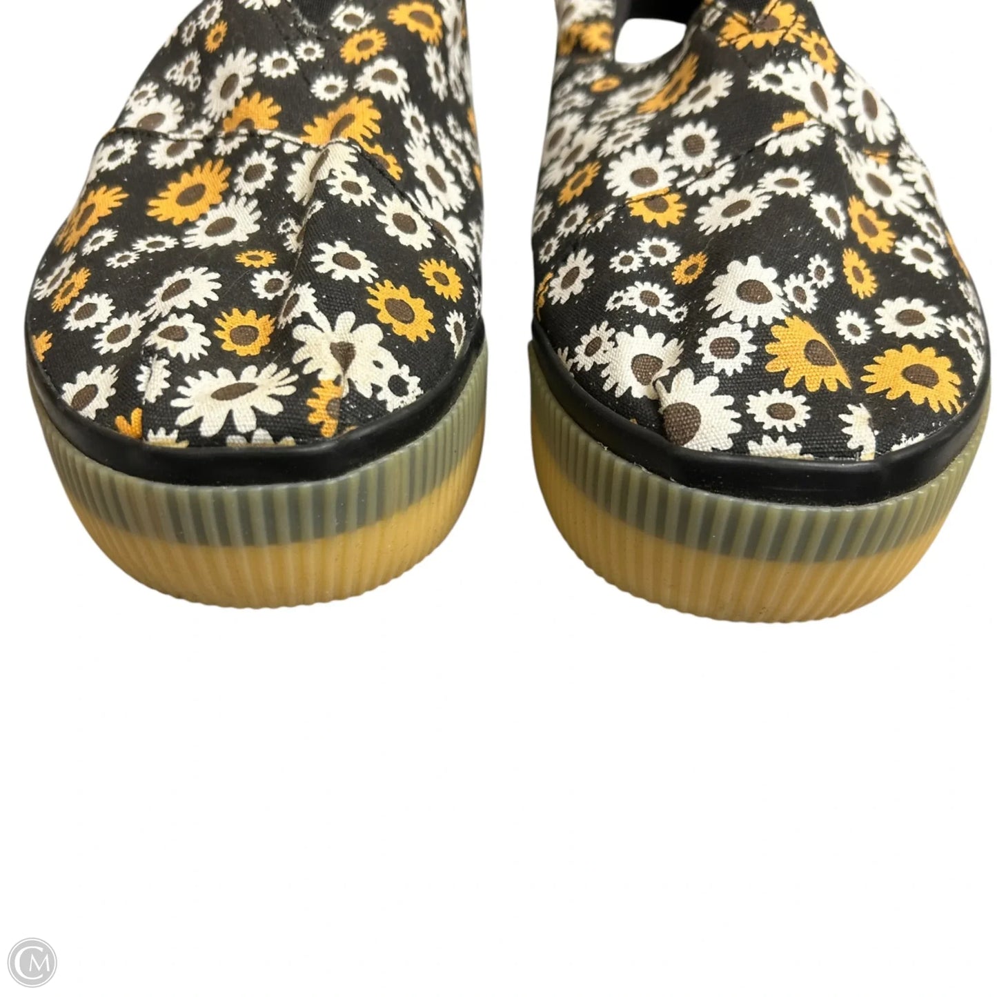 Shoes Sneakers Platform By Toms In Floral Print, Size: 12