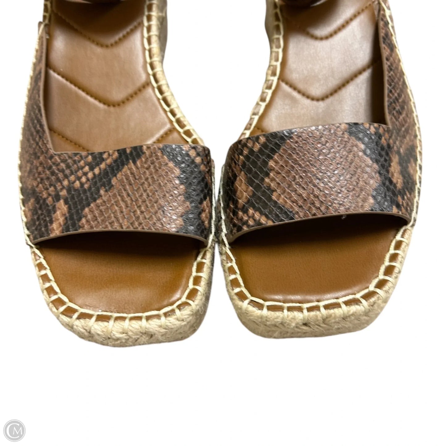 Shoes Heels Block By Franco Sarto In Snakeskin Print, Size: 10