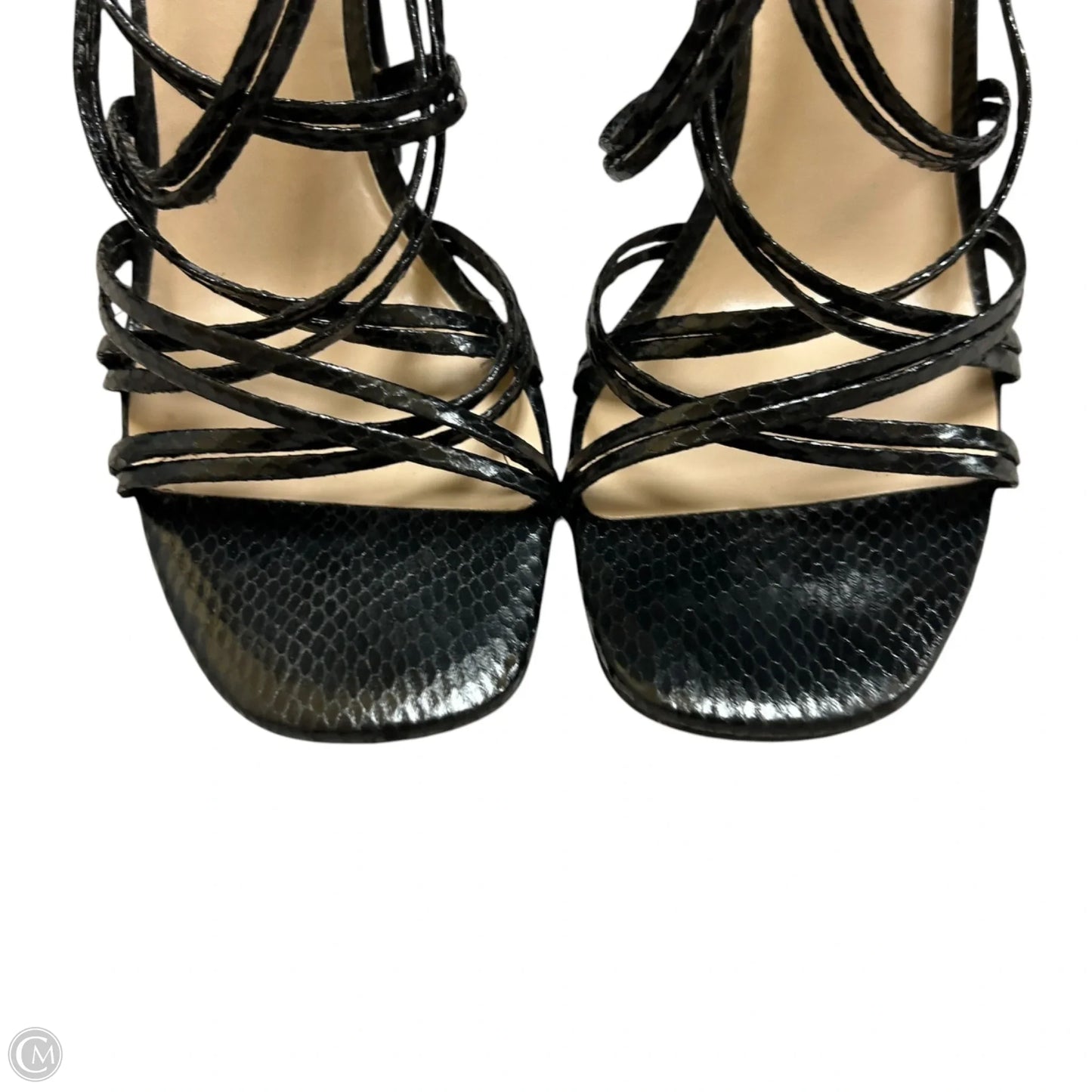 Shoes Heels Block By Mix No 6 In Black, Size: 8