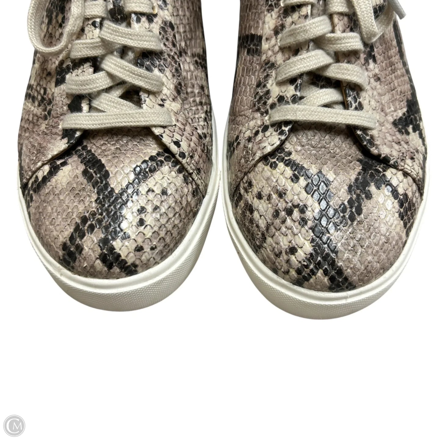 Shoes Sneakers By Clarks In Animal Print, Size: 6