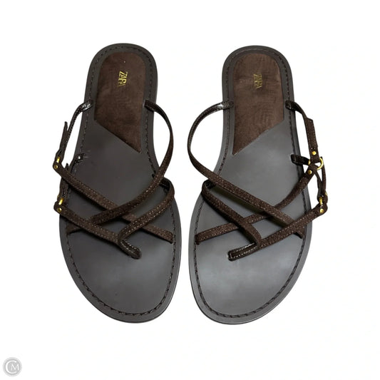Sandals Flats By Zara In Brown, Size: 10.5