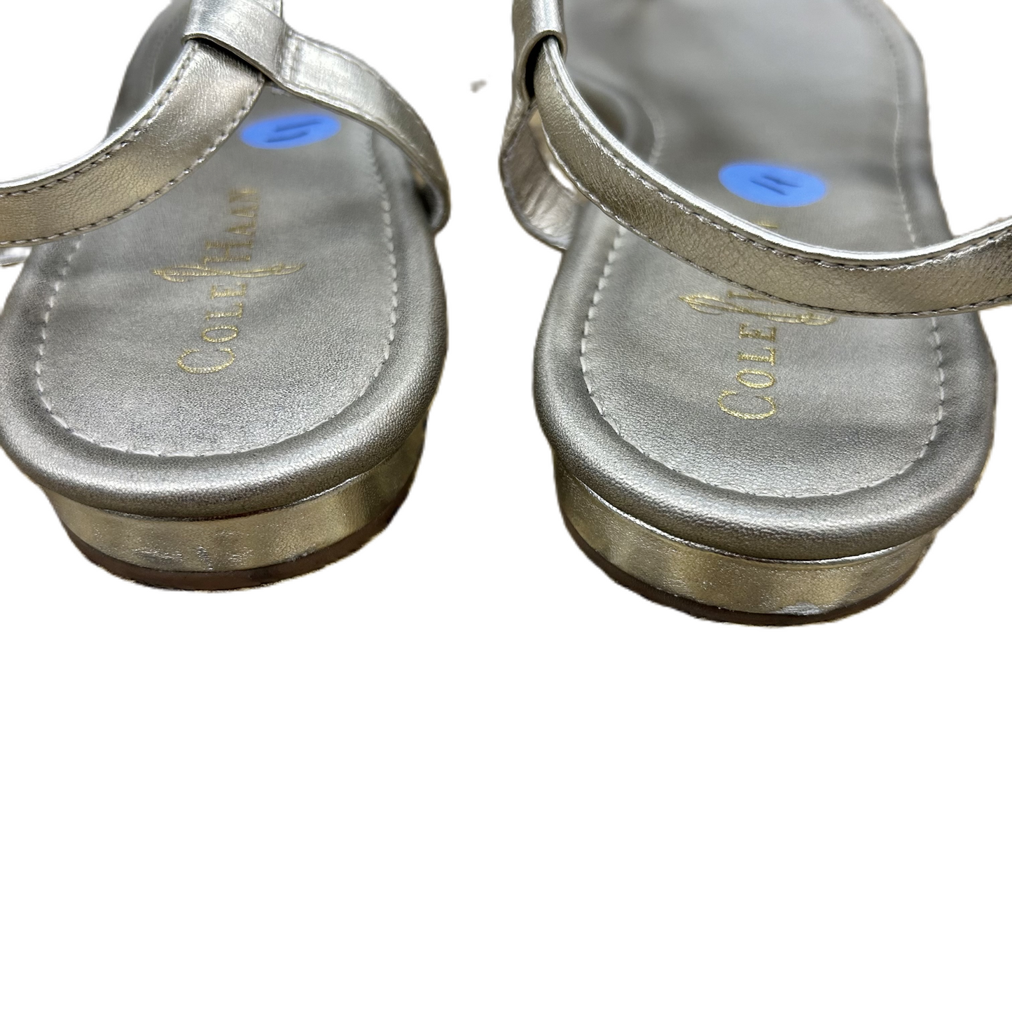 Sandals Designer By Cole-haan  Size: 10