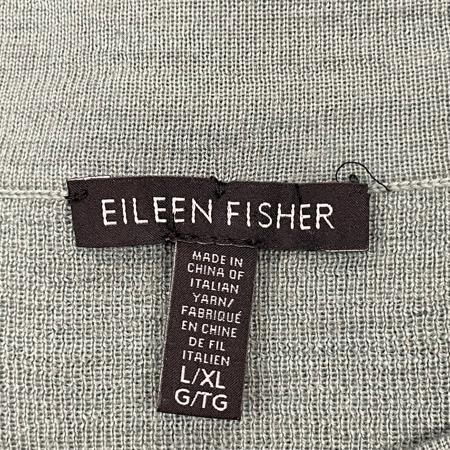 Sweater By Eileen Fisher In Green, Size: L/Xl