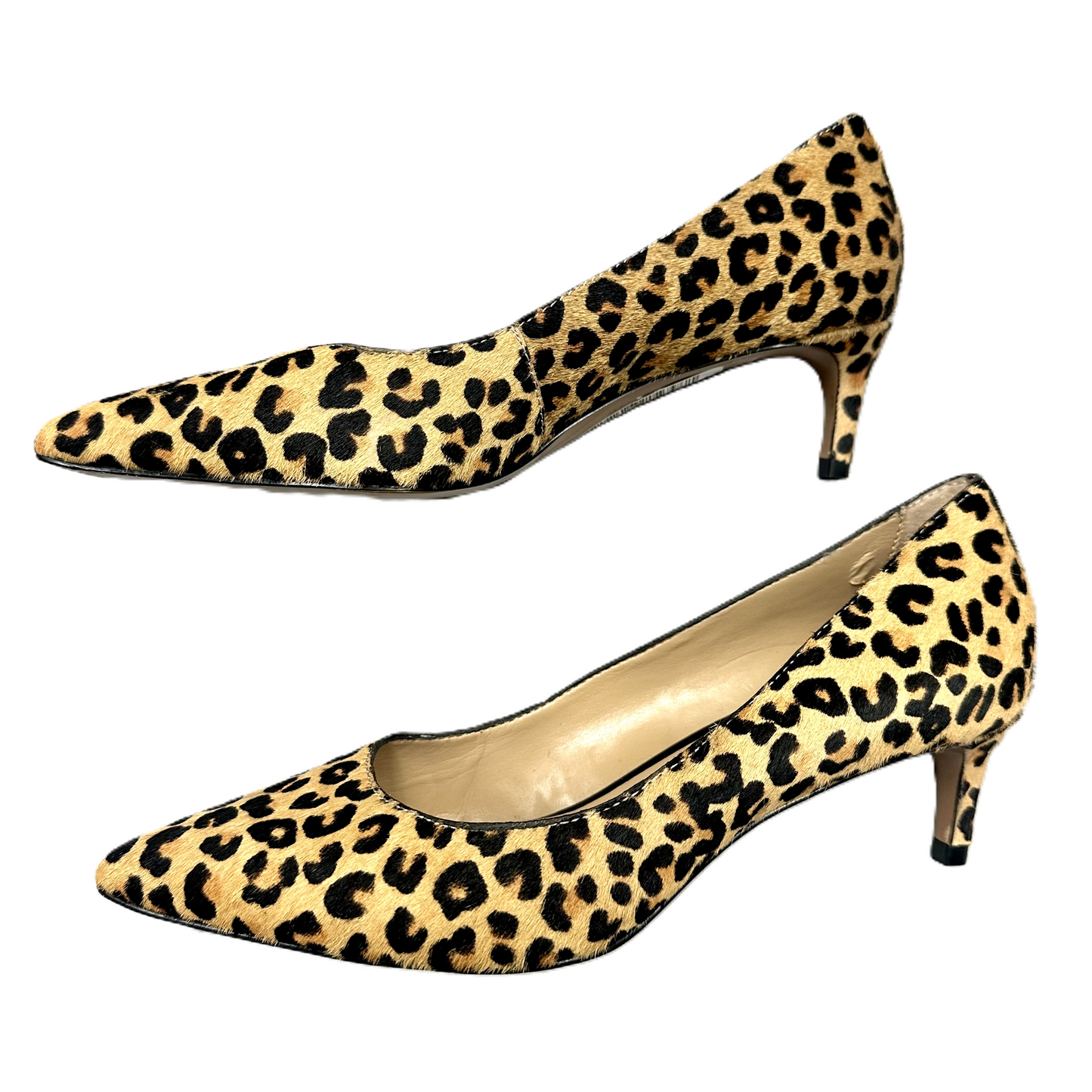 Shoes Heels Kitten By Banana Republic In Animal Print, Size: 6