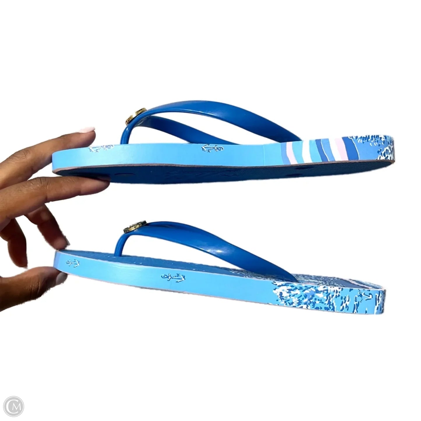 Shoes Designer By Lilly Pulitzer In Blue & Pink, Size: 6