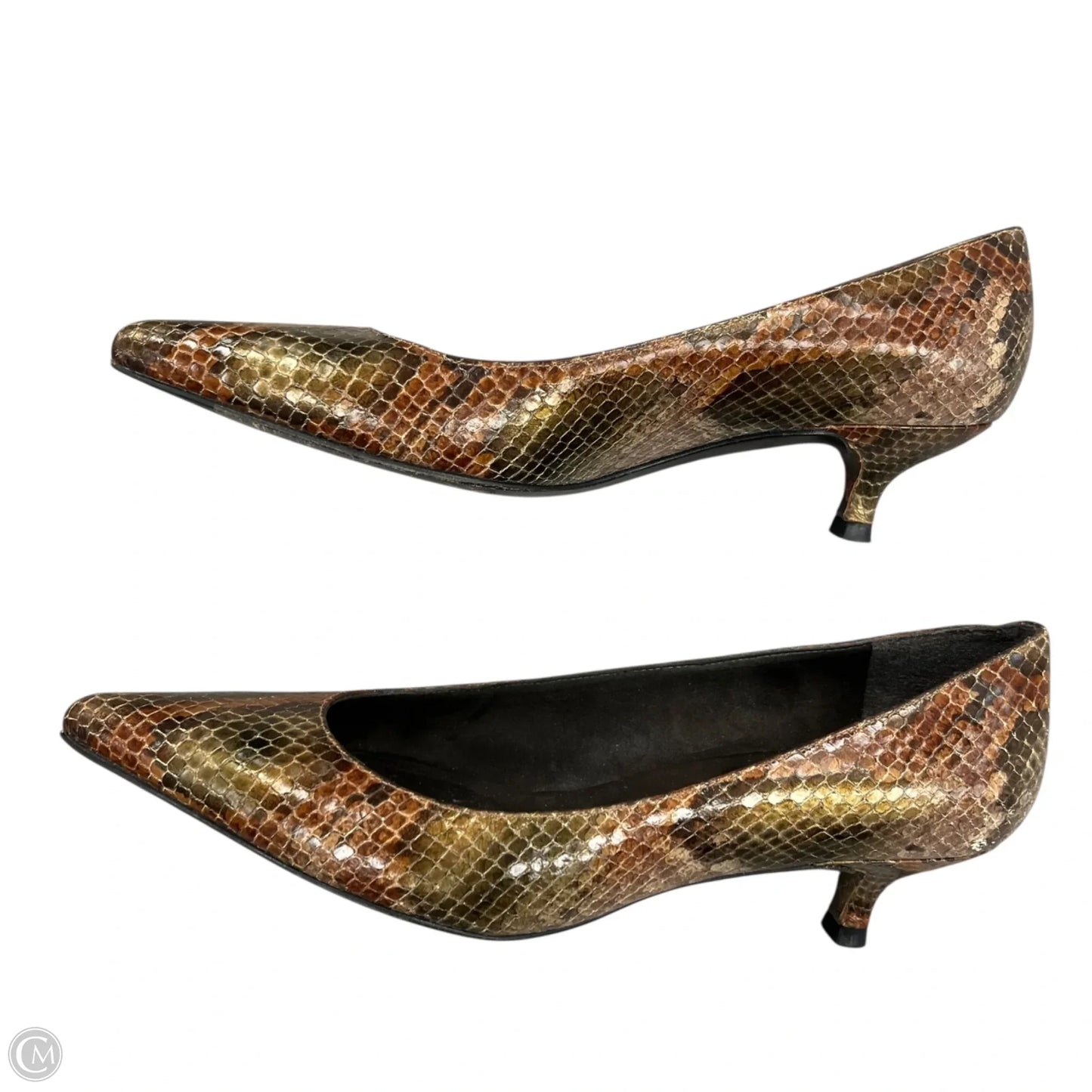 Shoes Designer By Stuart Weitzman In Snakeskin Print, Size: 5.5