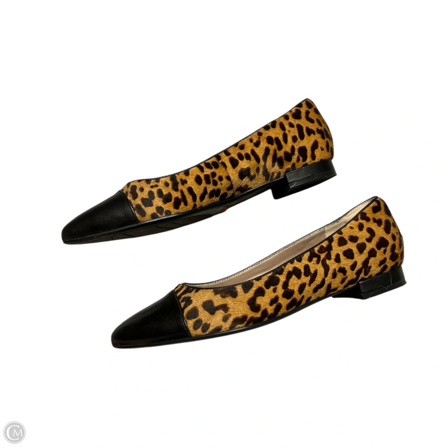 Shoes Flats By Rockport In Animal Print, Size: 8