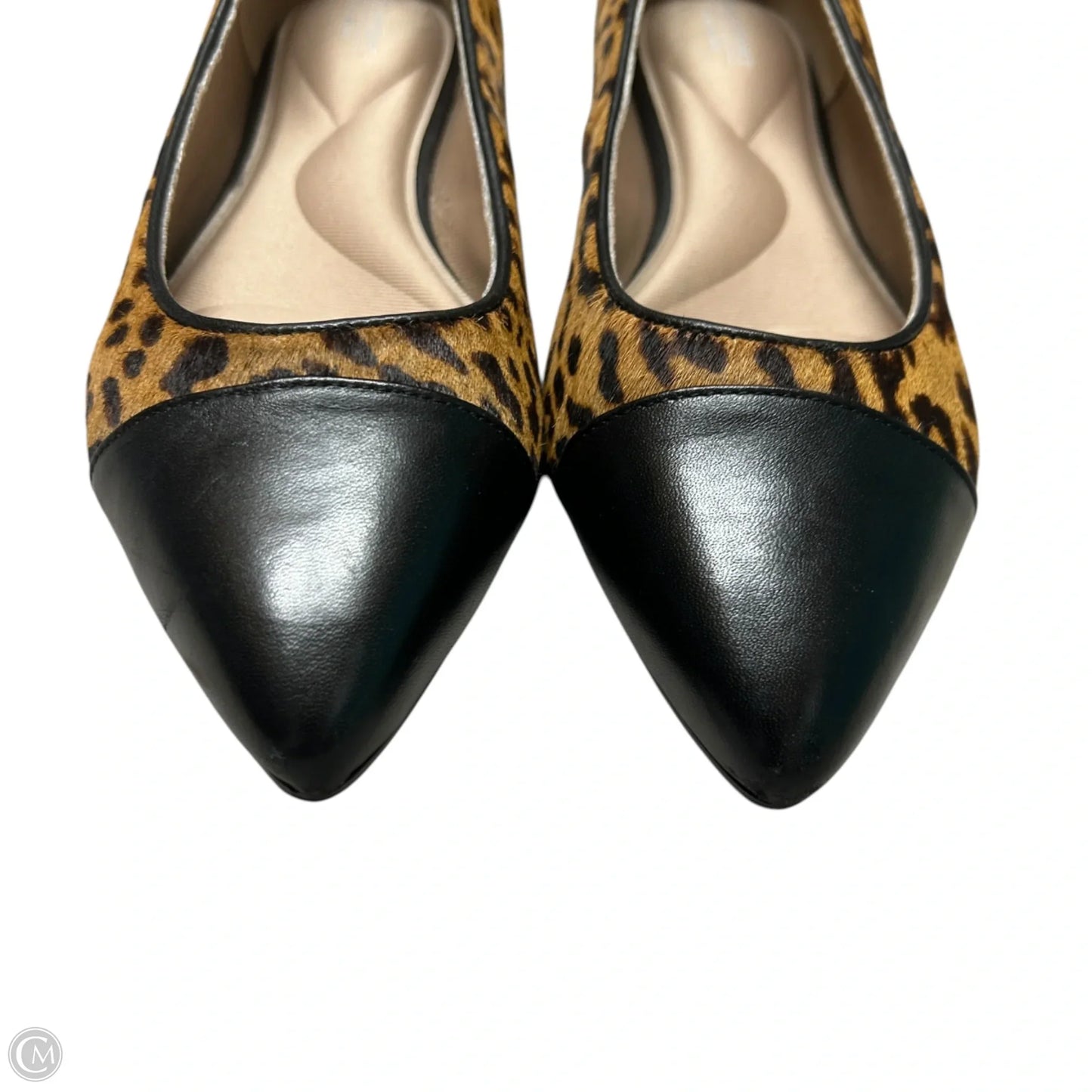 Shoes Flats By Rockport In Animal Print, Size: 8