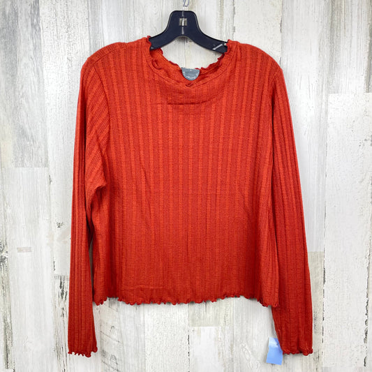 Top Long Sleeve By Clothes Mentor  Size: L