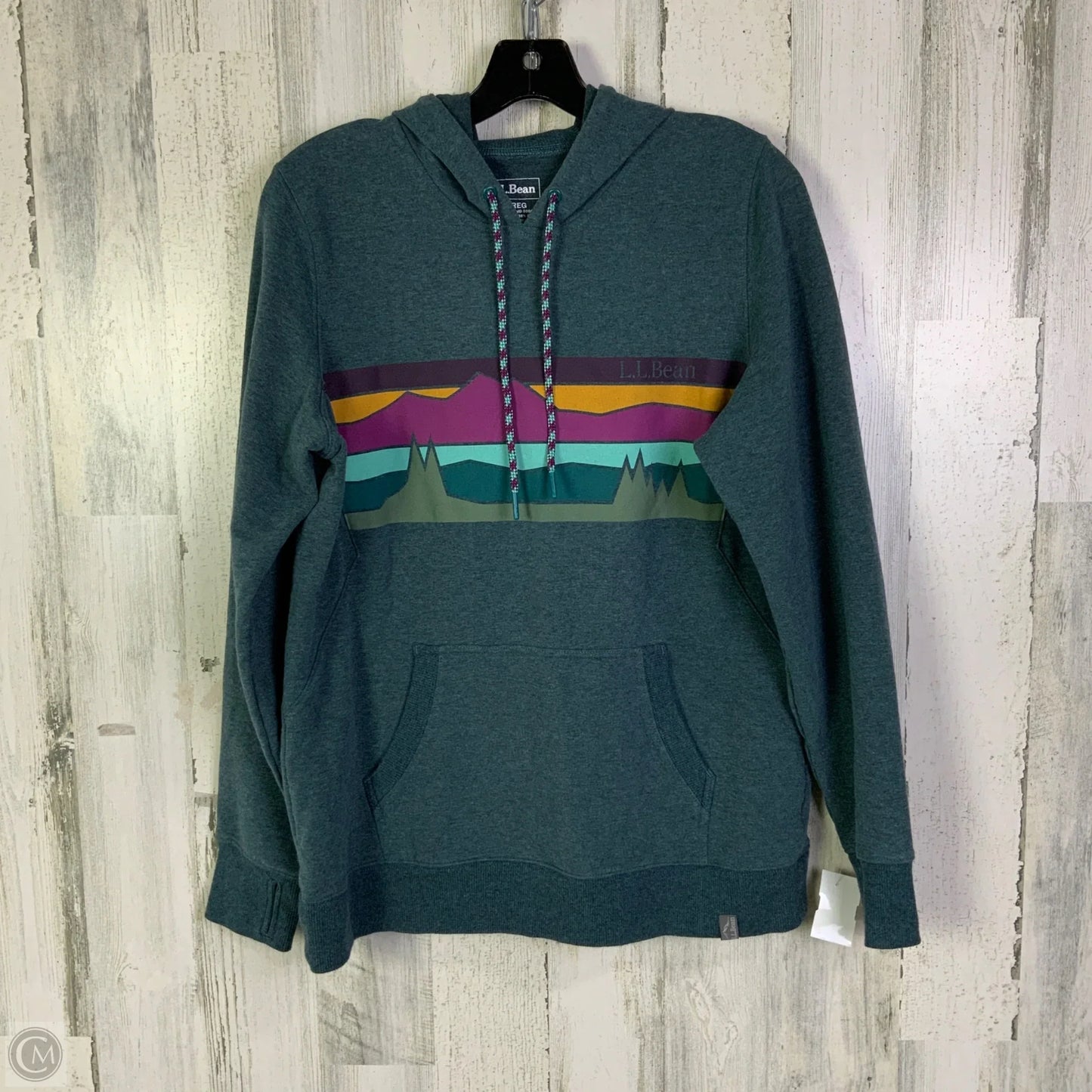 Sweatshirt Hoodie By L.l. Bean In Teal, Size: M