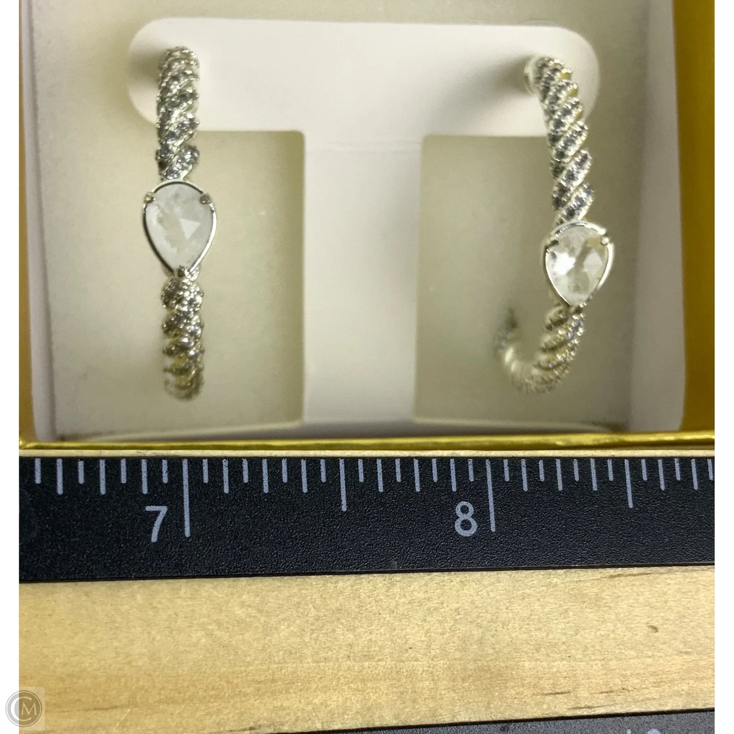 Earrings Hoop By Clothes Mentor