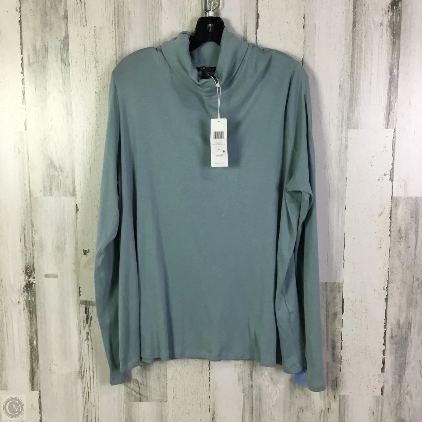 Top Long Sleeve Basic By Eileen Fisher In Blue, Size: 2x