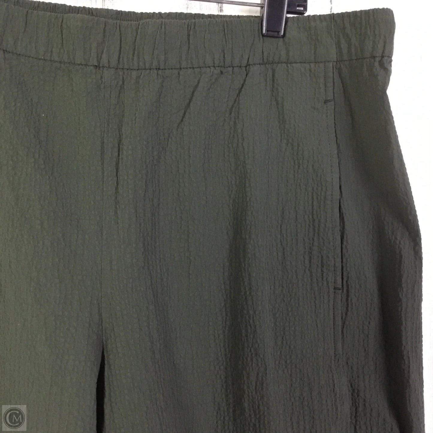 Pants Other By Eileen Fisher In Green, Size: 16
