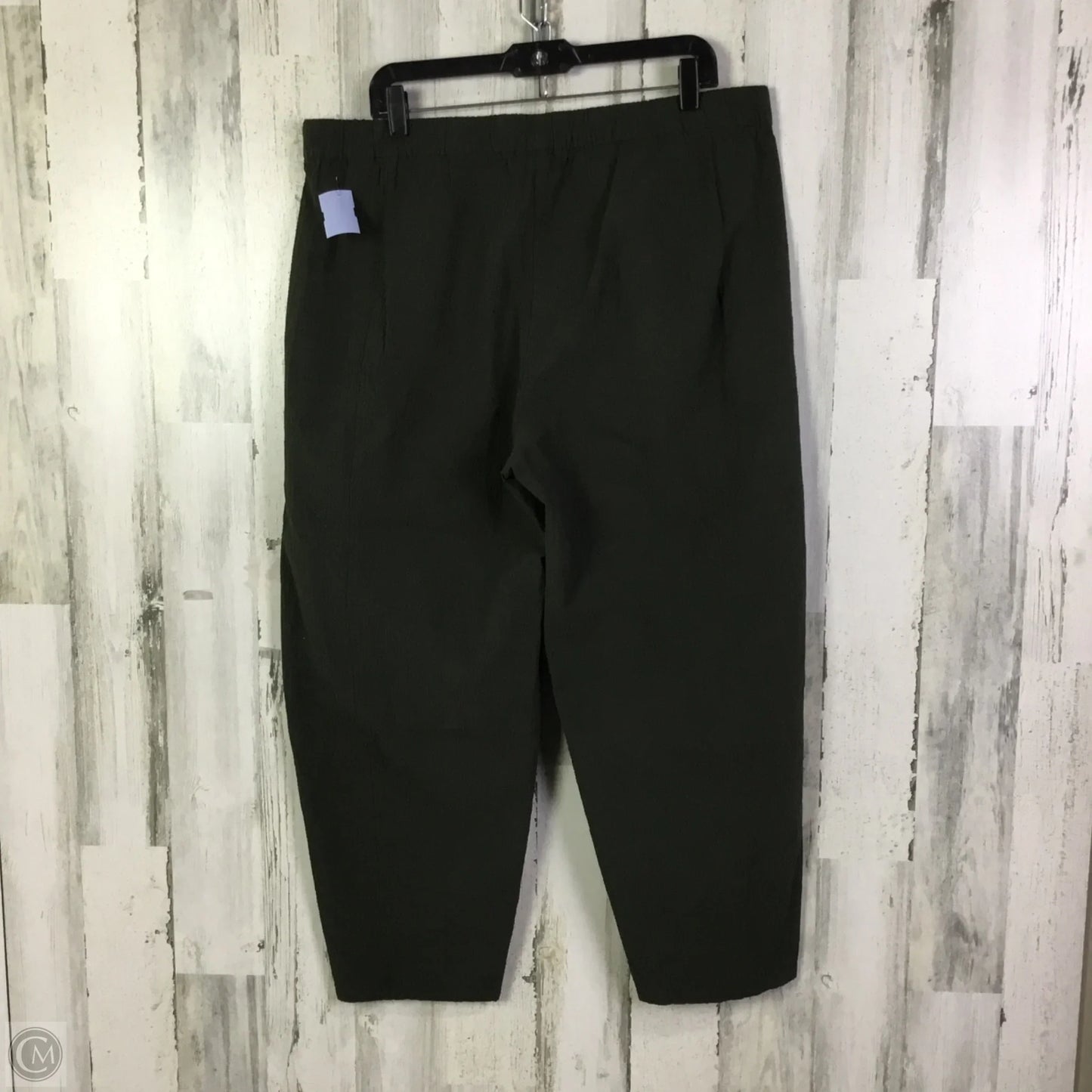 Pants Other By Eileen Fisher In Green, Size: 16