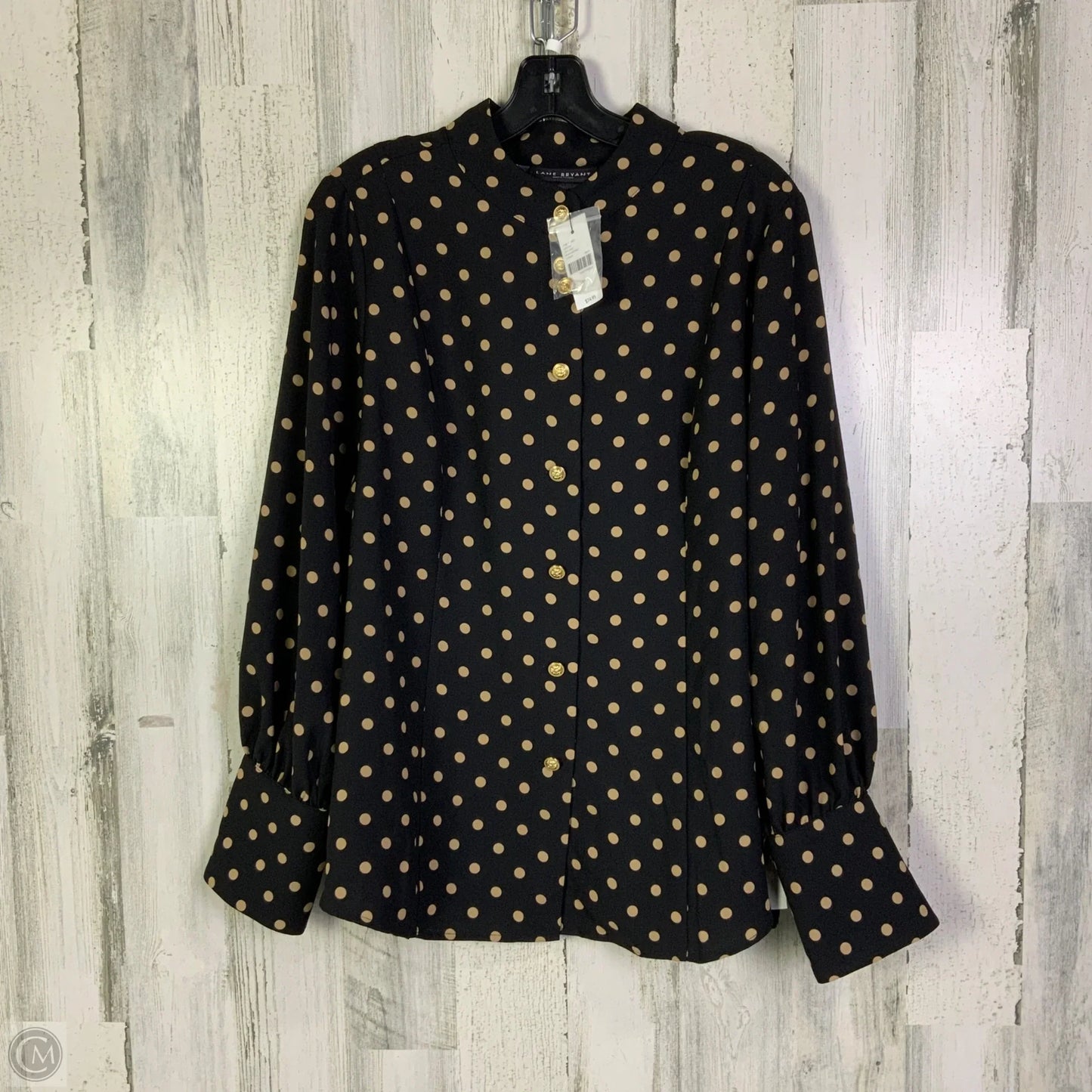 Top Long Sleeve By Lane Bryant In Black & Brown, Size: Xl